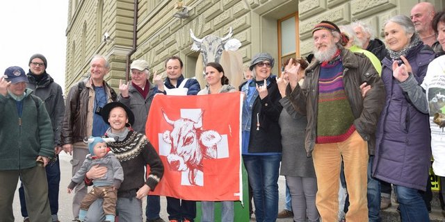 Bei der letzten Hornkuh-Initiatve wurde noch betont, es handle sich nicht um ein Enthornungsverbot. Jetzt hat der Wind gedreht und der neue Initiativtext behandelt auch genetisch veränderte Rinder und Ziegen. (Archivbild BauZ)