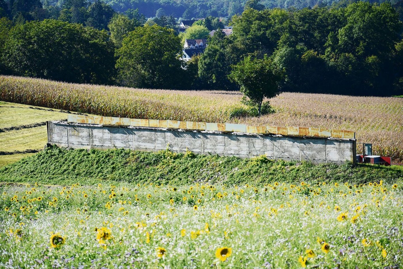 Im unteren Teil des Gebiets bildet der Kugelfang eines Schiessstands für abfliessendes Wasser ein Hindernis und wird Teil der Retentionsplanung. 