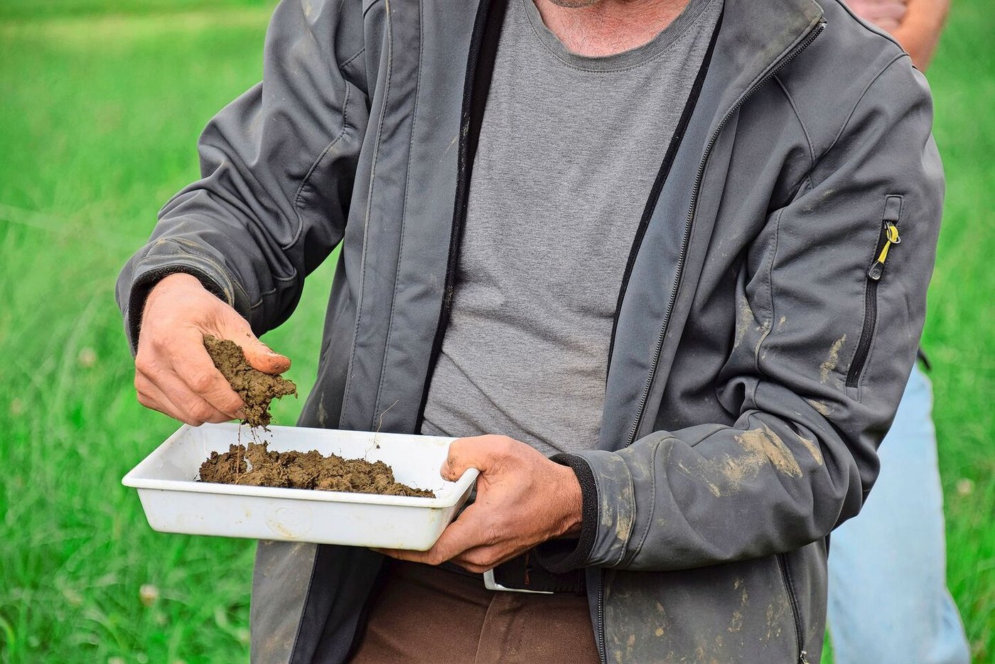Ohne zu kneten, werden die Erdbrocken zerkleinert, um das Krümelgefüge zu beurteilen. Dieser Wiesenboden ist luftig.