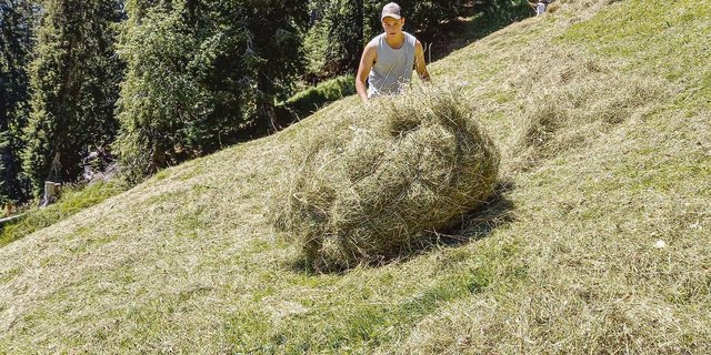 Tim Zaugg macht sein drittes Lehrjahr auf dem Betrieb von Felix und Esther Zaugg in Schwendibach BE. (Bild zVg)