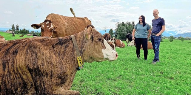 Bunte Herde mit Zweinutzungstypen: Daniela und Walti Haas auf der Weide in Hellbühl. Seit 2017 sind sie bio, zusätzlich wird heute antibiotikafrei produziert.