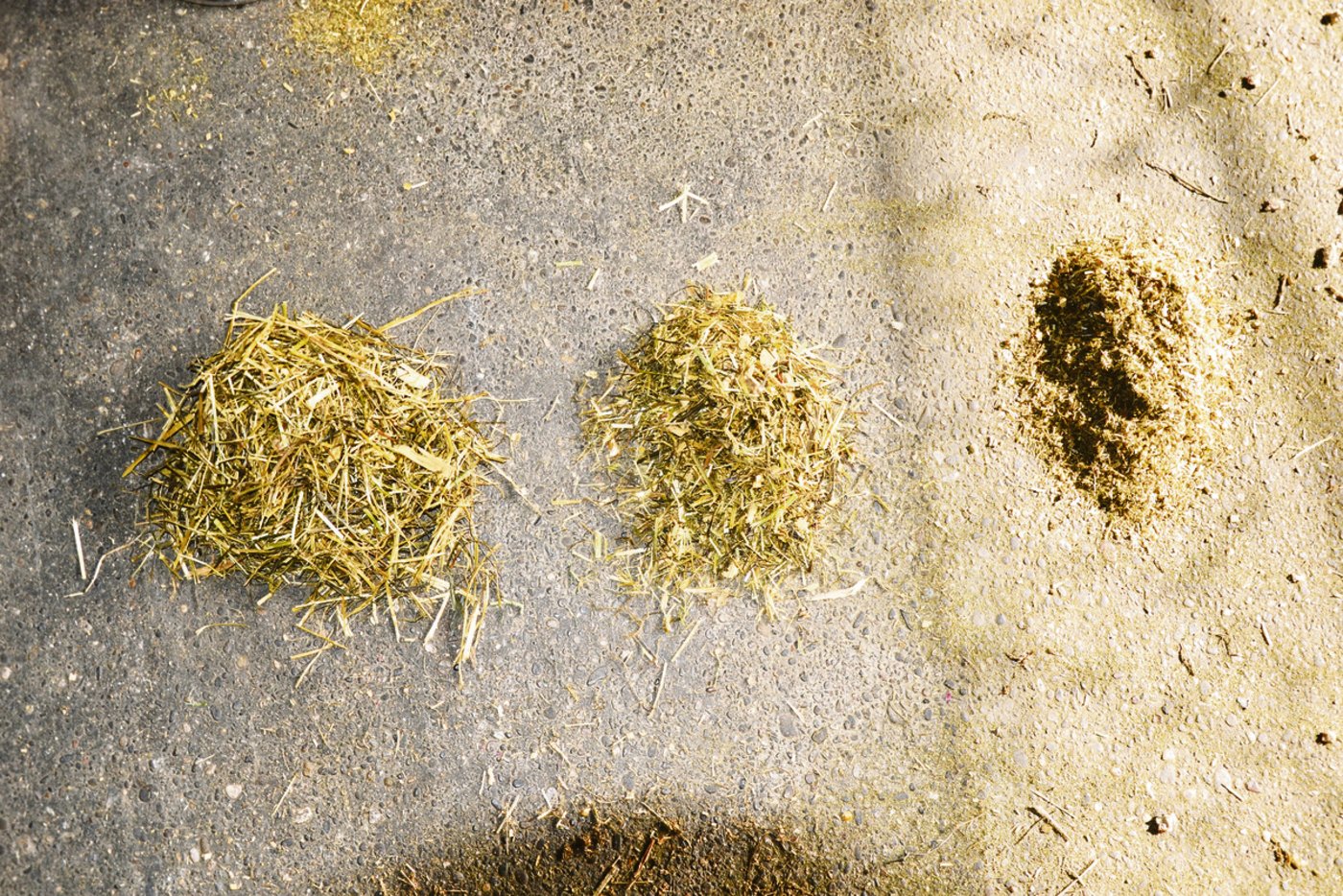 ... grob-, mittel- und kleinstrukturierte Anteile unterteilen. Die Ration sollte diesbezüglich ausgeglichen sein.