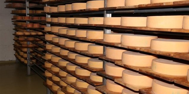 Ein Keller voller Alpkäse. (Bild BauZ)