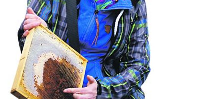 Undine Westphal erklärt den Aufbau der Bienenwabe. (Bild Michael Götz)