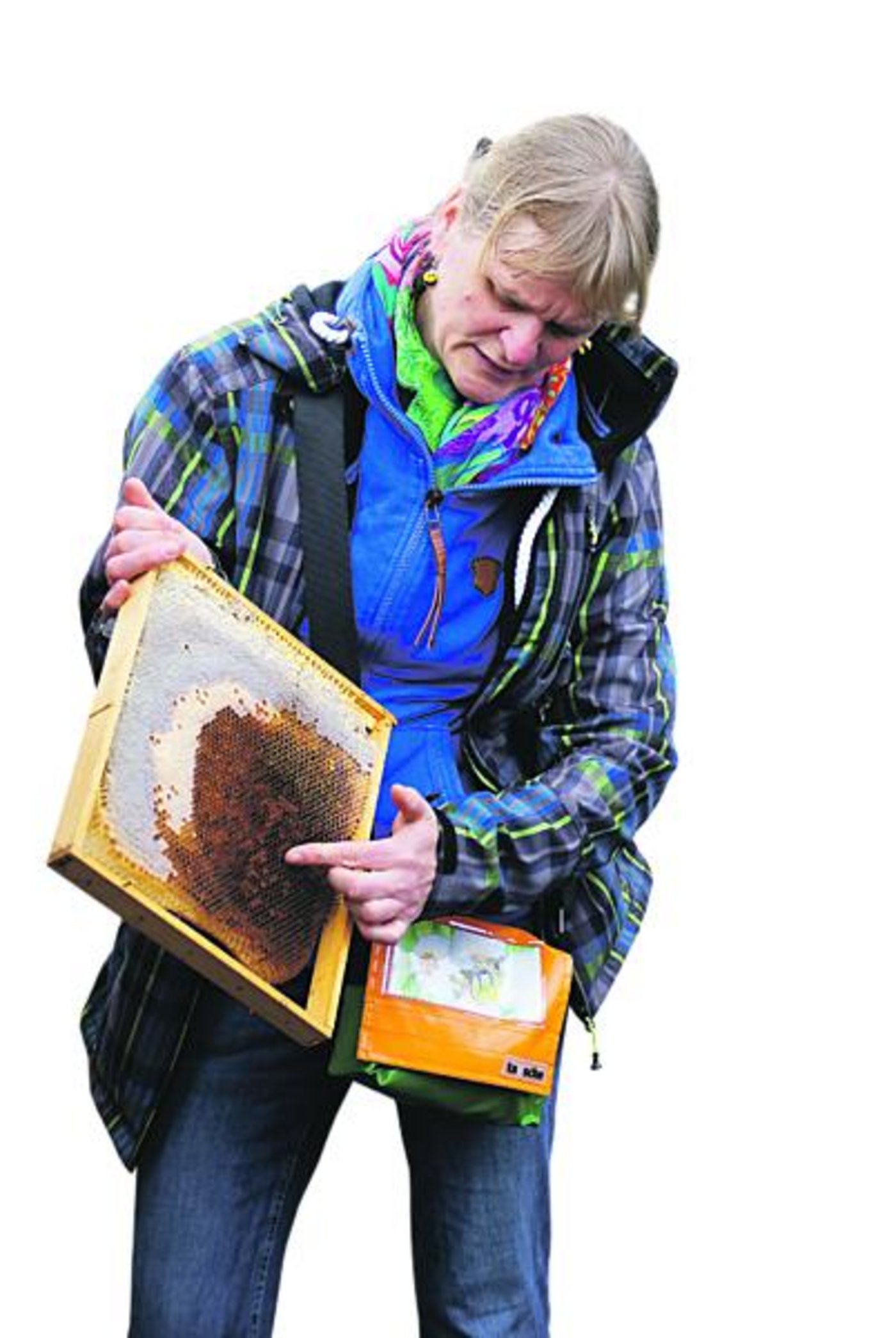 Undine Westphal erklärt den Aufbau der Bienenwabe. (Bild Michael Götz)