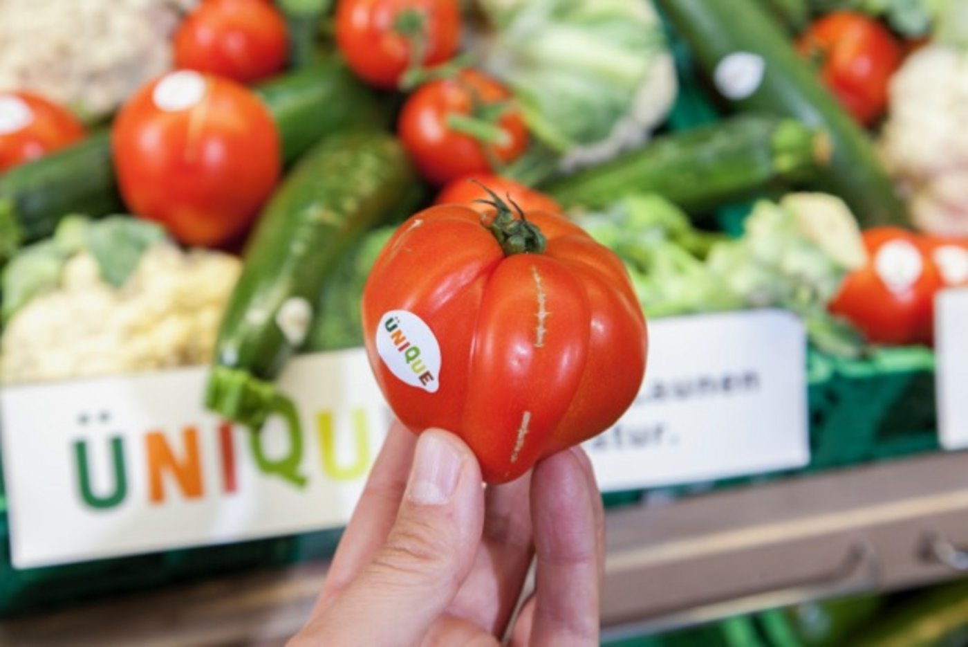 Schweizer Detailhändler haben unterschiedliche Strategien gegen Lebensmittelverschwendung: Coop etwa verkauft unter anderem unter dem Label "Ünique" verformte Tomaten, ... (Bilder Coop)