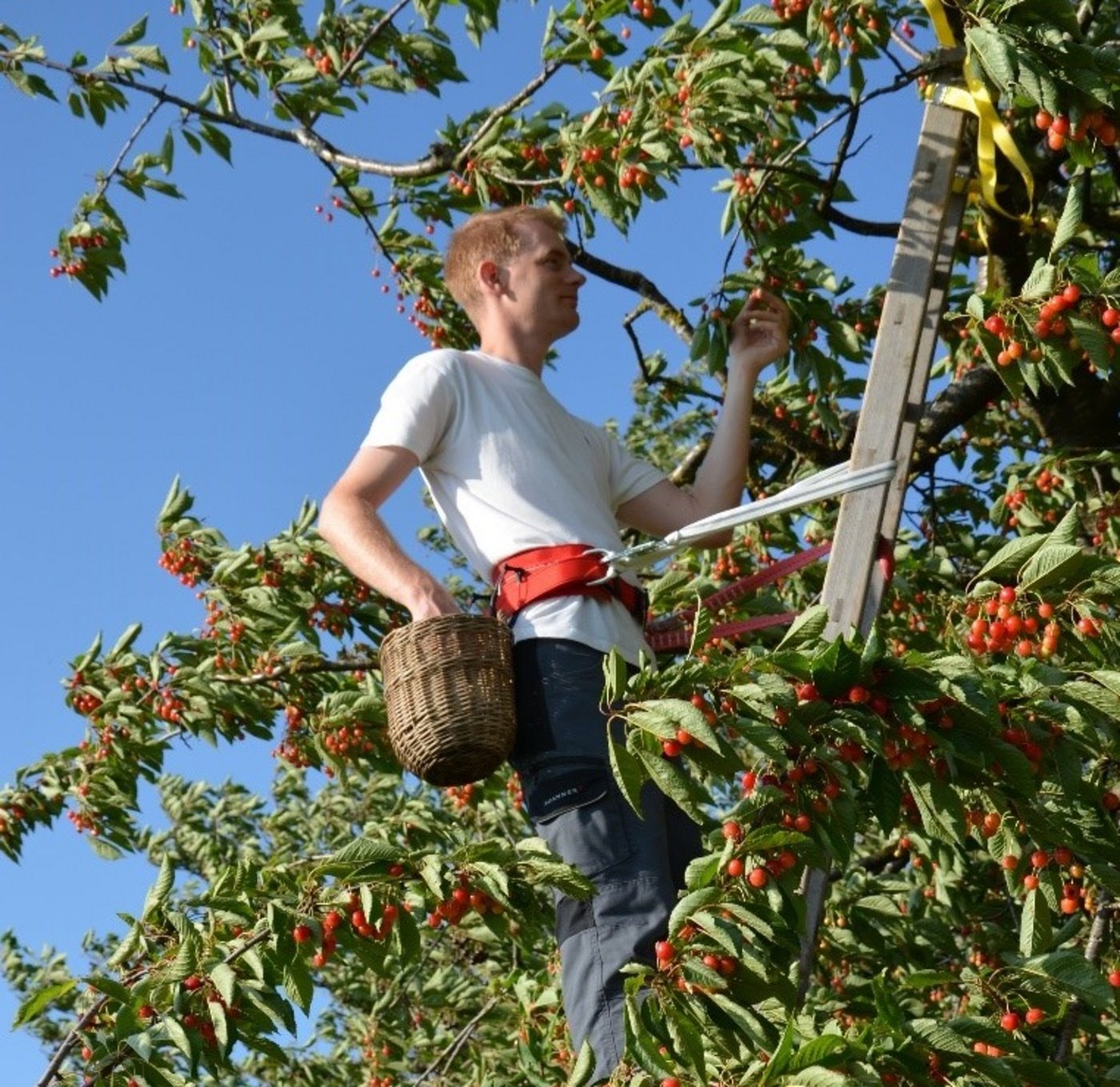 Mit einfachen Massnahmen kann die Sicherheit stark verbessert werden. (Bild BUL)