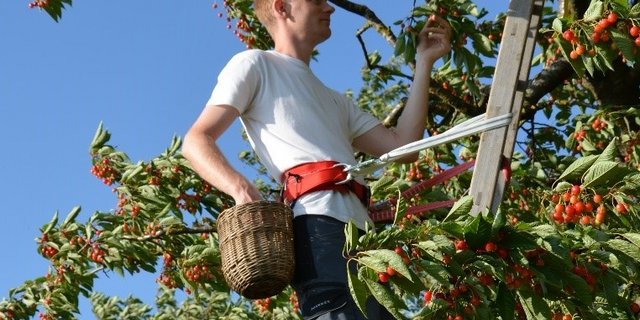 Mit einfachen Massnahmen kann die Sicherheit stark verbessert werden. (Bild BUL)