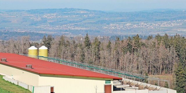 Investitionen in das Tierwohl: Der Bau von neuen Ställen dürfe nicht unnötig erschwert werden, fordert der Schweizer Bauernverband (SBV).  