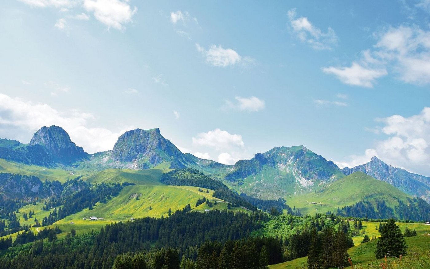 Ein Panorama sondergleichen (v. l. n. r.): die Nünene, der Gantrisch, der Bürglen und der Ochsen.