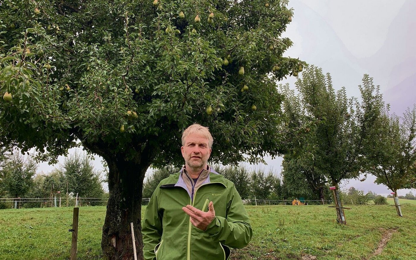 Urs Amrein hat 650 Hochstammbäume mit 350 verschiedenen Sorten auf seinem Archehof in Hildisrieden. 