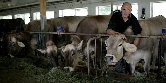 Während seiner ganzen Aktivzeit als Schwinger hat Bruno Gisler immer zu 100 Prozent als Bauer gearbeitet. Das gefällt ihm und dafür hat er als Ex-Schwinger wieder mehr Zeit.(Bilder Flavian Cajacob)
