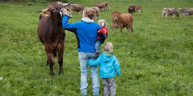 Die Familie Kathriner lebt heute auf einem Lebenshof. (Bild Miriam Künzli / SRF) 