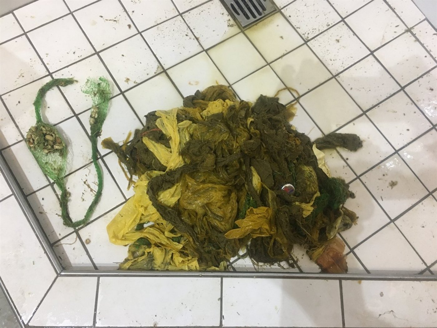 Das Plastik füllte den Magen des Hirsches und das Tier magerte ab. (Bilder zVg)