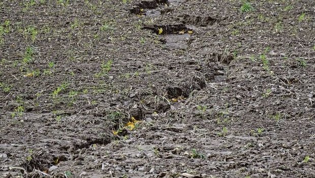 Die Konservierende Landwirtschaft soll den Boden ebenso vor Schäden durch zu viel Wasser (Erosion) wie vor Wassermangel schützen.