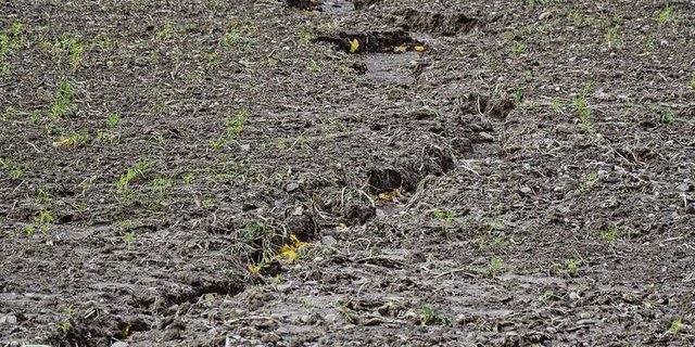 Die Konservierende Landwirtschaft soll den Boden ebenso vor Schäden durch zu viel Wasser (Erosion) wie vor Wassermangel schützen.