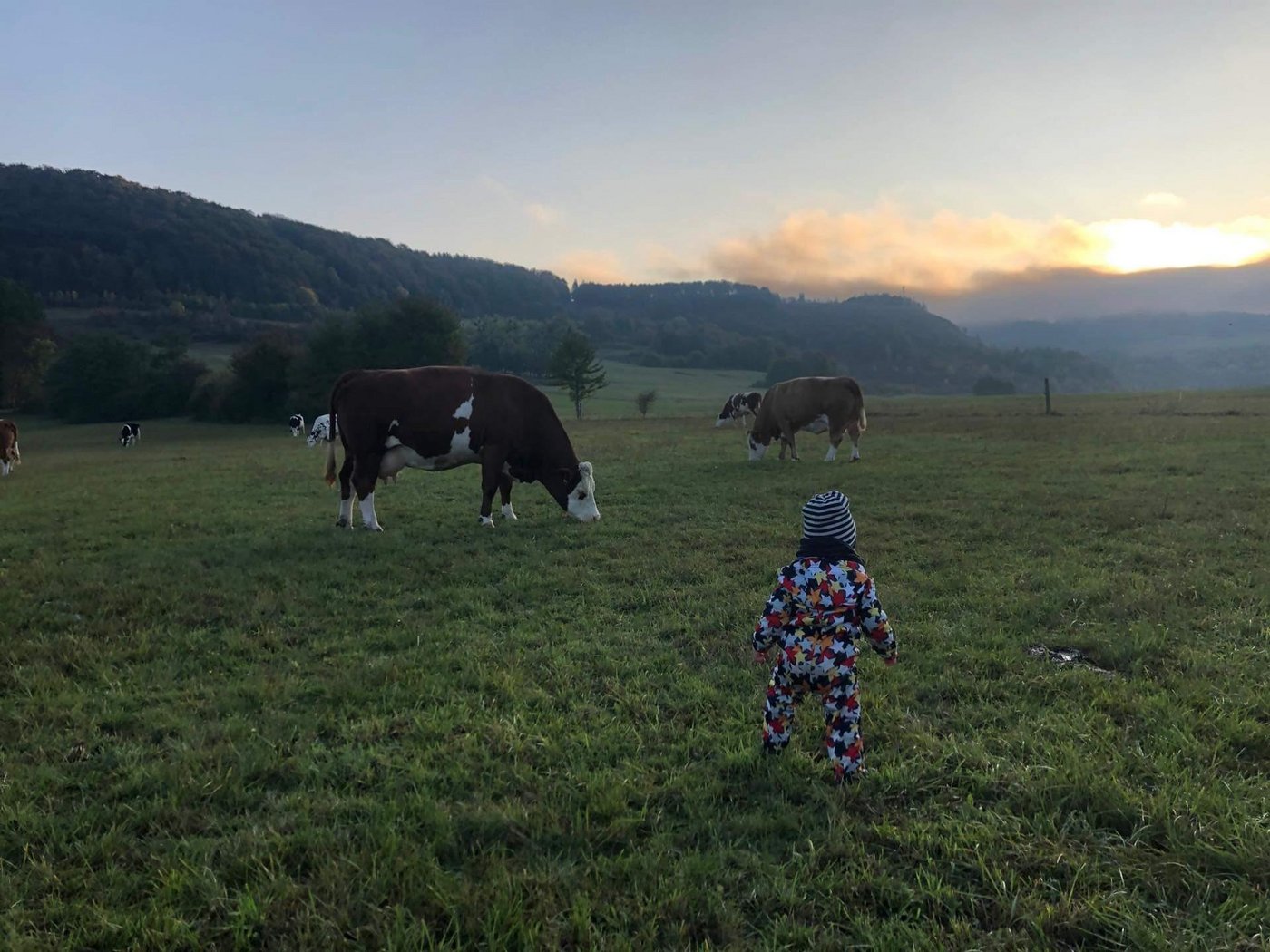 Bäuerinnen haben eine grosse Verantwortung. (Bilder Tanja Mäurer)