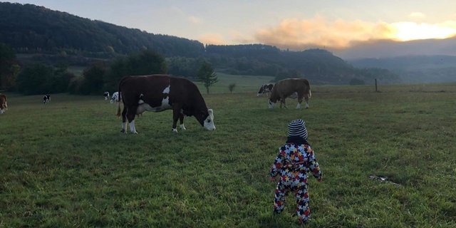 Bäuerinnen haben eine grosse Verantwortung. (Bilder Tanja Mäurer)