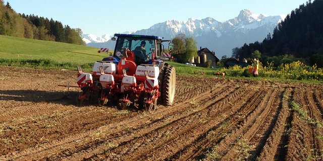Bei der Maisaussaat sollte der Boden abgetrocknet und mindestens 8°C warm sein. Dies ist notwendig, damit die Keimung zügig erfolgt und der Keimling weniger lang Krankheiten und Schädlingen ausgesetzt ist. (Bild Mike Bauert)