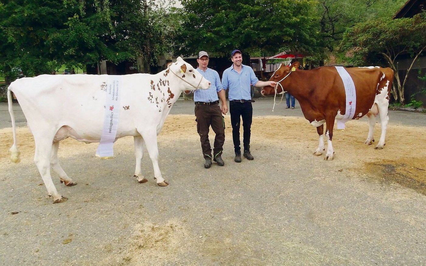 Die Miss Schöneuter RH/SF Sunnebärg Amnesty Samara (links) und die Miss RH/SF Meiender Armani Alant Red.