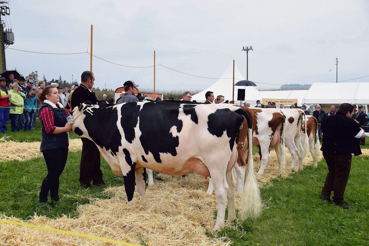 Siegerin Kat. 1: Hadorn’s Quello Quelle (44 43 89), Karl Hadorn.