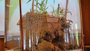 Klares Wasser, stabile Krümel: Ein langjähriger Direktsaat-Boden.