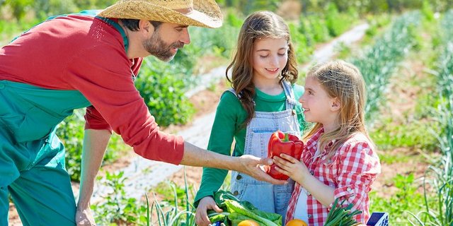 Arbeiten und Kinderbetreuung kann man auf einem Bauernhof kombinieren. (Bild Nicole Amrein)