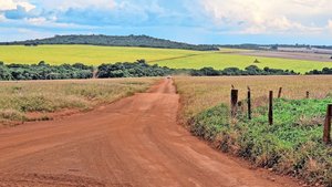 Die typische rote Erde Brasiliens ist nicht besonders fruchtbar und bei Regen schnell weggewaschen.