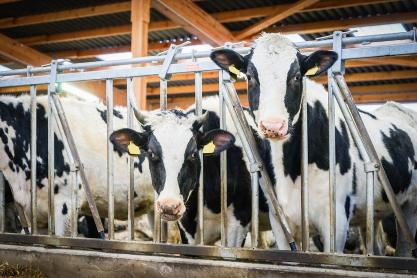 (Symbolbild Fotolia)