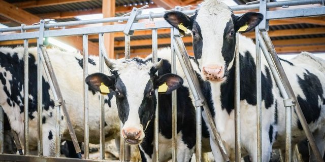 (Symbolbild Fotolia)