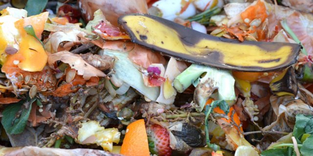 Die OGG und foodwaste.ch wollen für das Thema Food Waste sensibilisieren. (Bild pd)