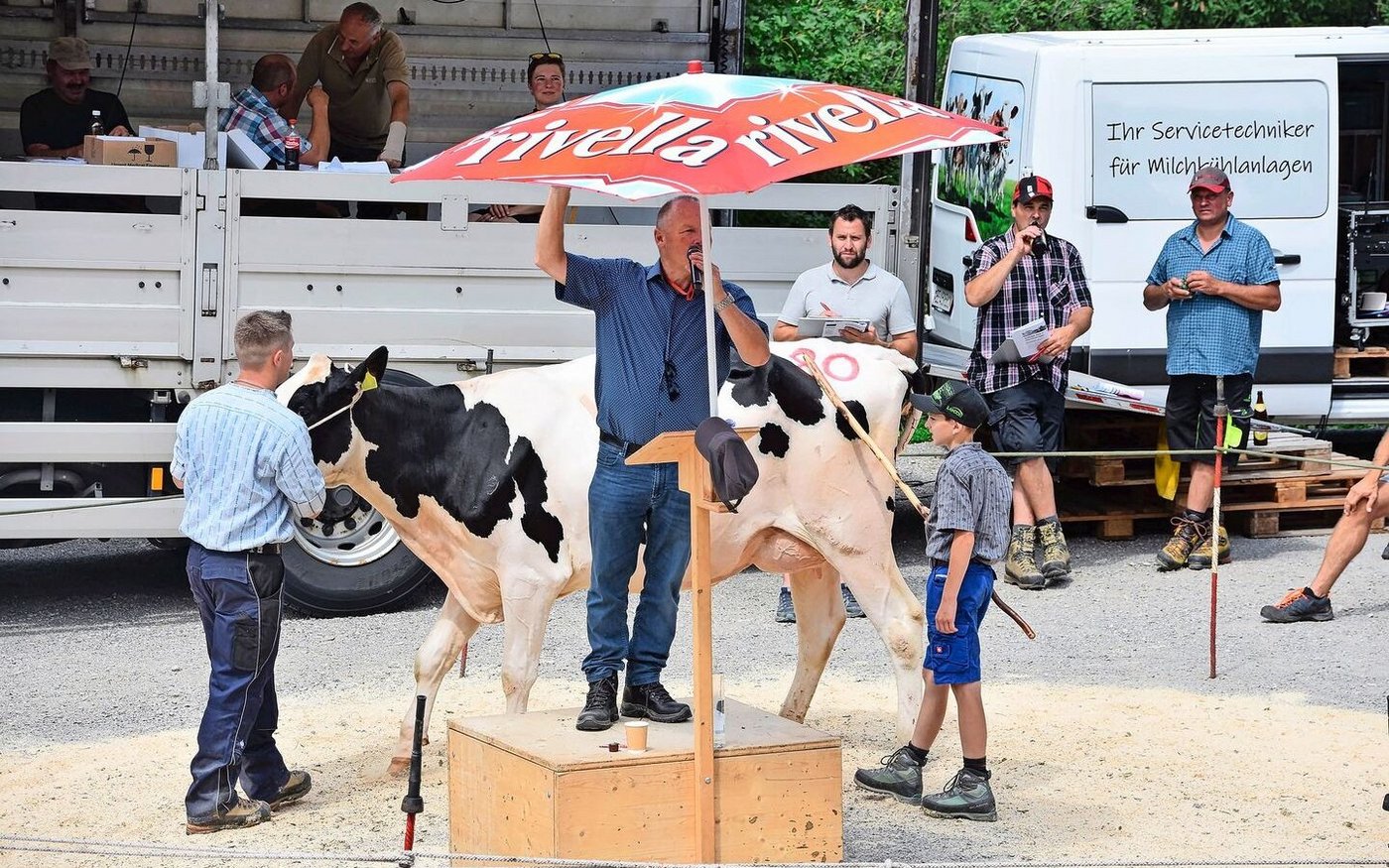Die Holsteinkuh Toohot Falter von Paul und Simon Wittwer, Horboden, löste den Preis von 4500 Franken.