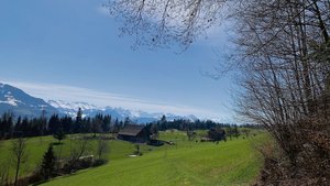 Frühjahrsweide nahe Frühjahrsweide nahe eines Waldes. Immer wieder gibt es Diskussionen um die Beweidung von Wäldern oder Waldrändern.