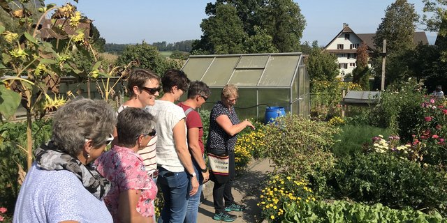 An einem Herbstnachmittag vor einiger Zeit unterwegs im Bauerngarten von Ruth Müller (r.). Sie erklärt den Kursteilnehmerinnen die praktische Anwendung und die Wirkung von Homöopathie im Garten. (Bild fj)