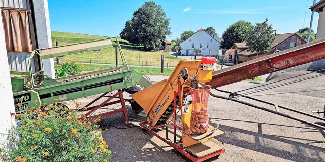 Für Ernte und Verlesen von Kartoffeln sind verschiedene Maschinen nötig. Bis die Sortierbänder eingerichtet sind, dauert es eine Weile.