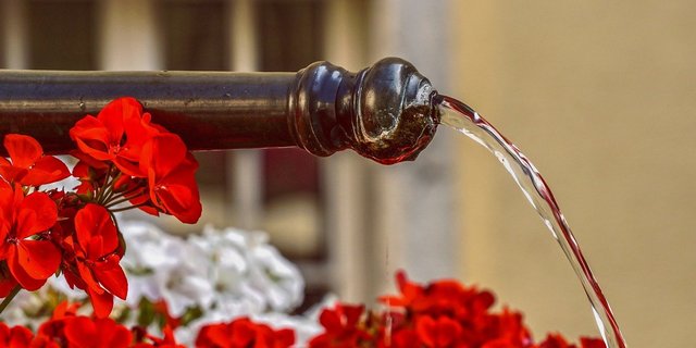 Die Delegierten der SP befürworten die Trinkwasser-Initiative und die Pestizid-Verbots-Initiative. (Bild Pixabay)