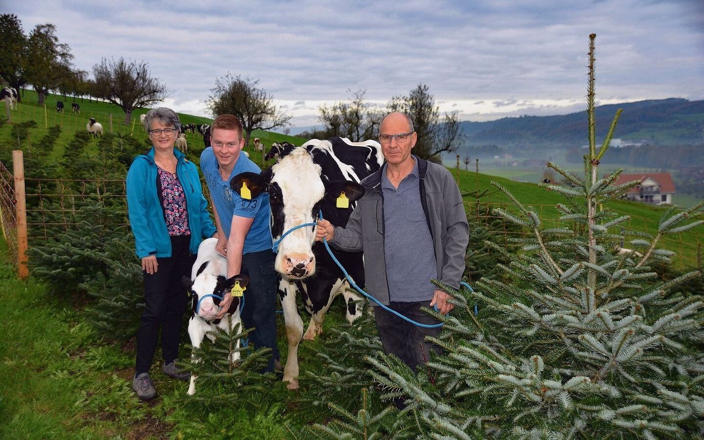 Betriebsleiterpaar Marlies und Peter Hodel mit Sohn Adrian präsentieren Stammkuh HoWi Fever Rosina mit Kalb.