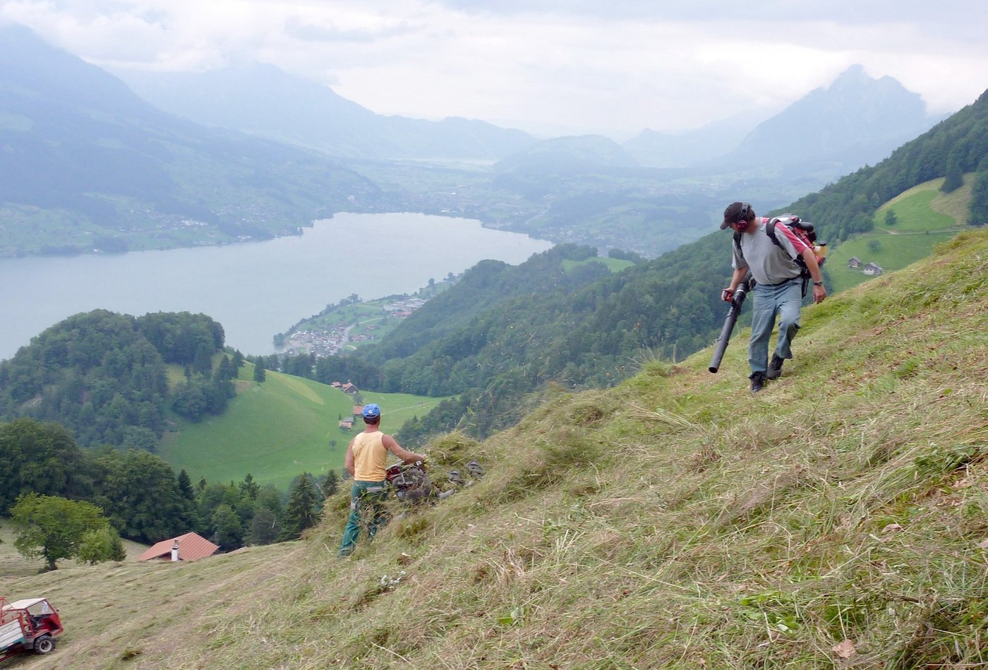 Mit dem Heubläser geht es schneller und effizienter: Heuen auf der Alp Rick in Giswil OW. (Bild: Priska von Flüe-Fallegger/landwirtschaft.ch)