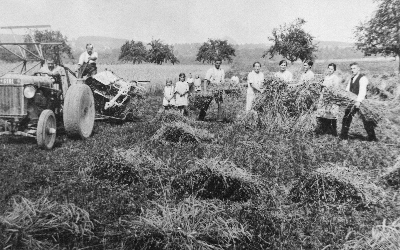 In den 1950er-Jahren lief die Getreideernte noch anders. Gemäht wurde mit einer Lieuse, die Garben zu Puppen aufgestellt, damit das Getreide besser trocknen konnte.  