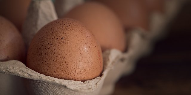 Aktuell besteht in der Schweiz Unsicherheit beim Verpackungsmaterial für Eier, da die Kapazitätsengpässe bei den wichtigsten Herstellern laut Gallo Suisse noch nicht gelöst sind. (Bild Pixabay)