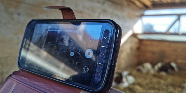 Eine ruhige Hand ist wichtig, soll das Video gelingen. (Bild sb)