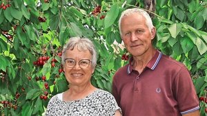 Helene und Toni Weingartner-Ottiger freuen sich über den schönen Behang in ihrer Bio-Kirschen-Anlage. Bald startet die Ernte.