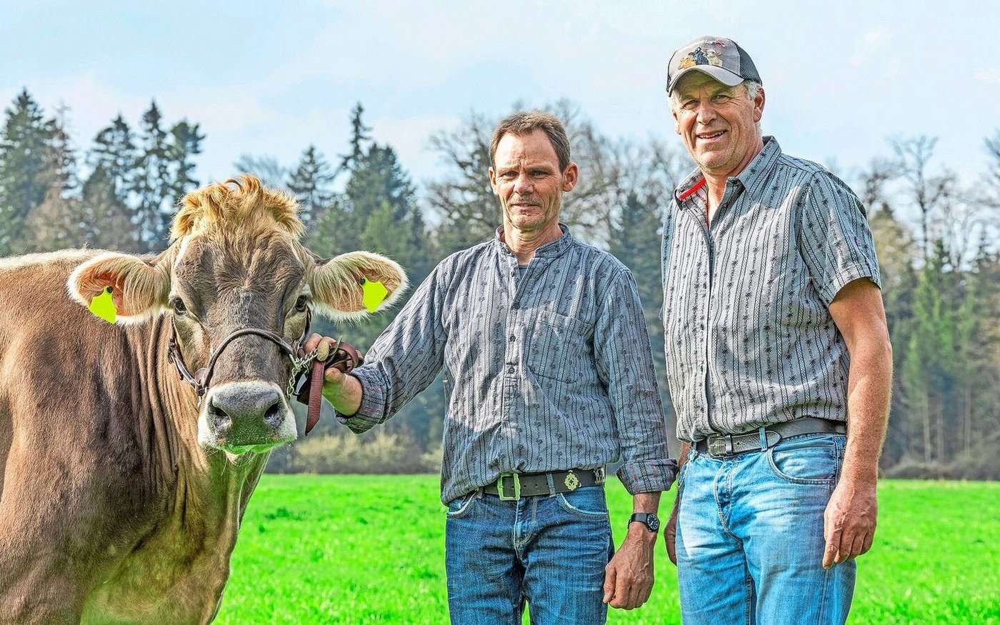 Thomas Meier (re.) und Stefan Unternährer bevorzugen unkomplizierte und leistungsstarke Braunvieh Kühe.