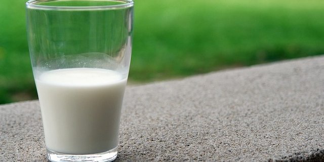 Milch decke über 75 Prozent des menschlichen Kalziumbedarfs. (Bild Pixabay)