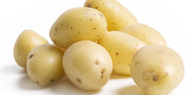 Die zarten Frühkartoffeln haben eine sehr dünne Haut und werden daher in der Regel mit Schale gegessen. (Bild Terralog) 