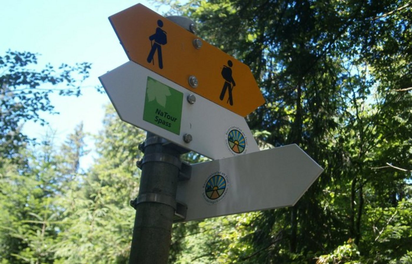 Auf in das Ursprungsgebiet der Schweizer Braunvieh-Rasse. (Bilder Manuel Fischer)