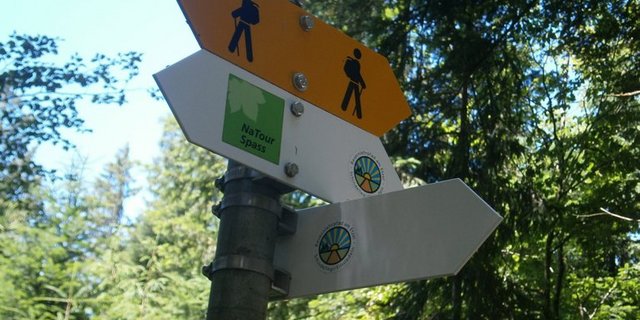 Auf in das Ursprungsgebiet der Schweizer Braunvieh-Rasse. (Bilder Manuel Fischer)