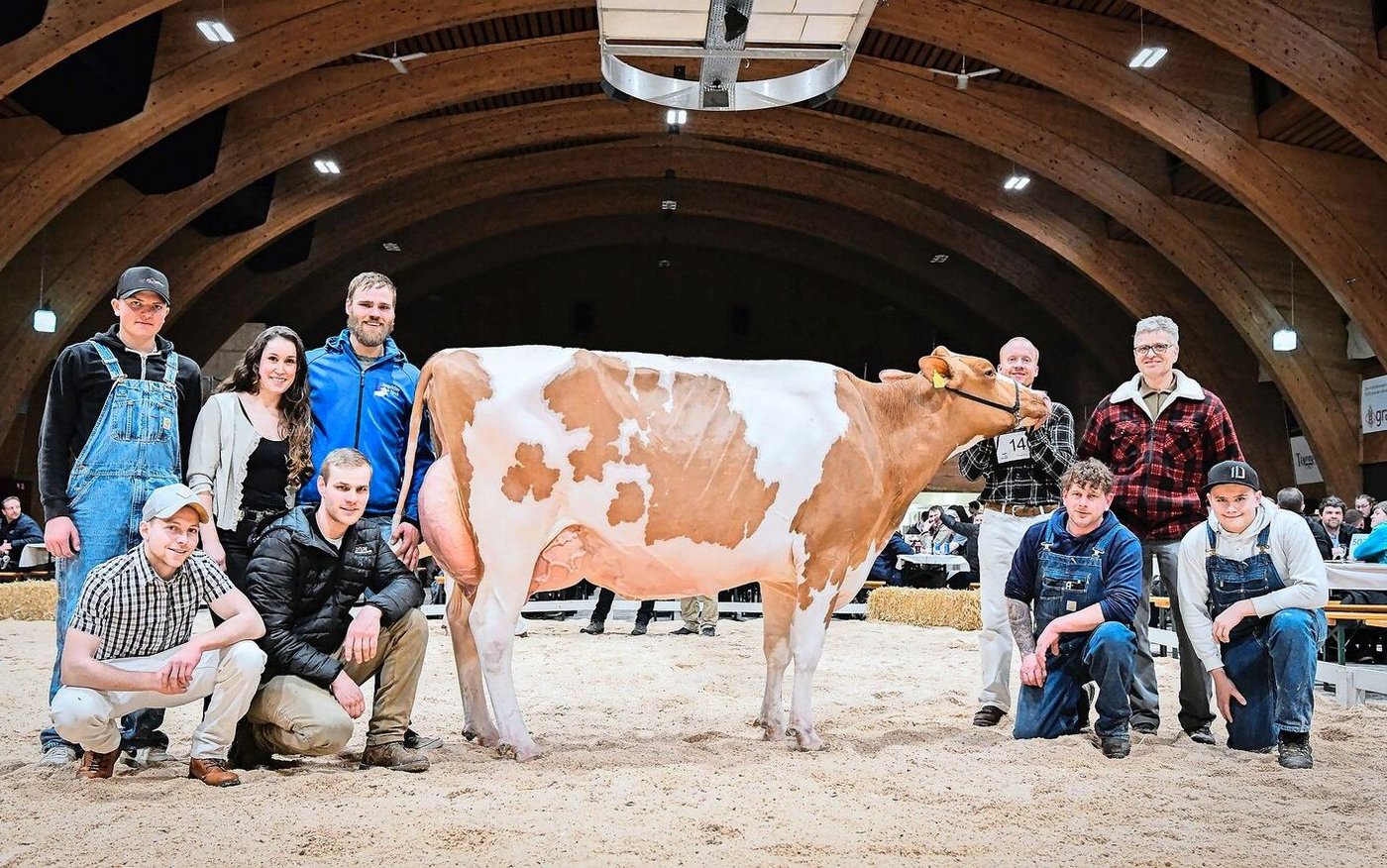 Siegerin bei den Red Holstein: Wolfmountain Aladdin Amala von Stefan Frauchiger aus Rikon im Tösstal. Laut Christian Schuwey eine harmonische und sehr weibliche Kuh. 