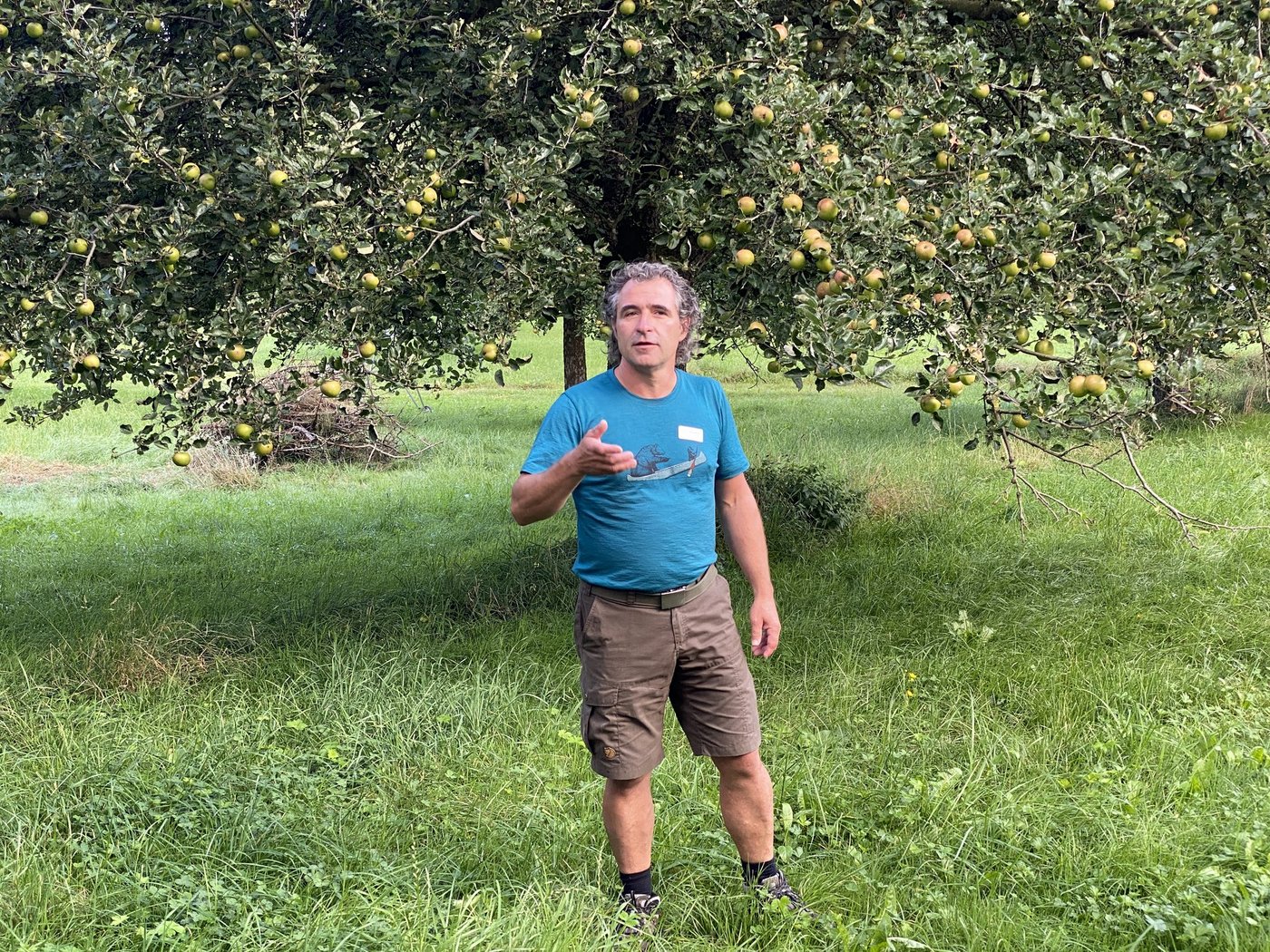 Hans Oppikofer bewirtschaftet eine 10 Hektaren grosse Mostobstanlage mit Ökowiese. (Bilder Katrin Erfurt)