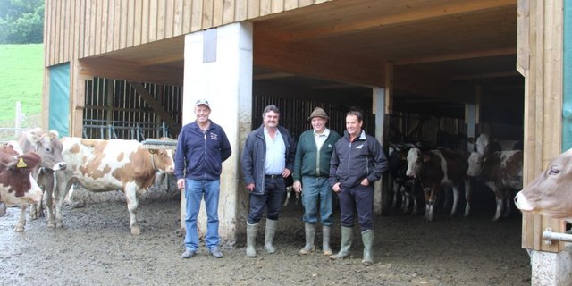 Sind stolz auf den neuen Weidestall: Markus Stamm (v.l.n.r), Andreas Schnetzler, Heiri Roth und Bernhard Suter. (Bild: Christian Weber)